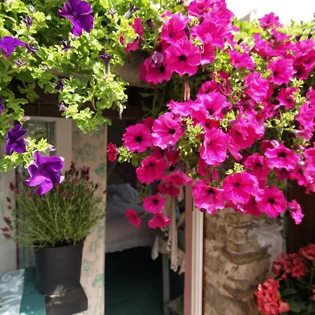 Le Petit Chateau * Dolceacqua